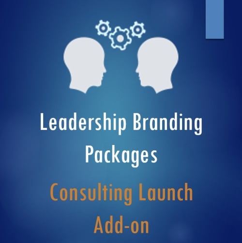 Consulting Launch Add on 500x501